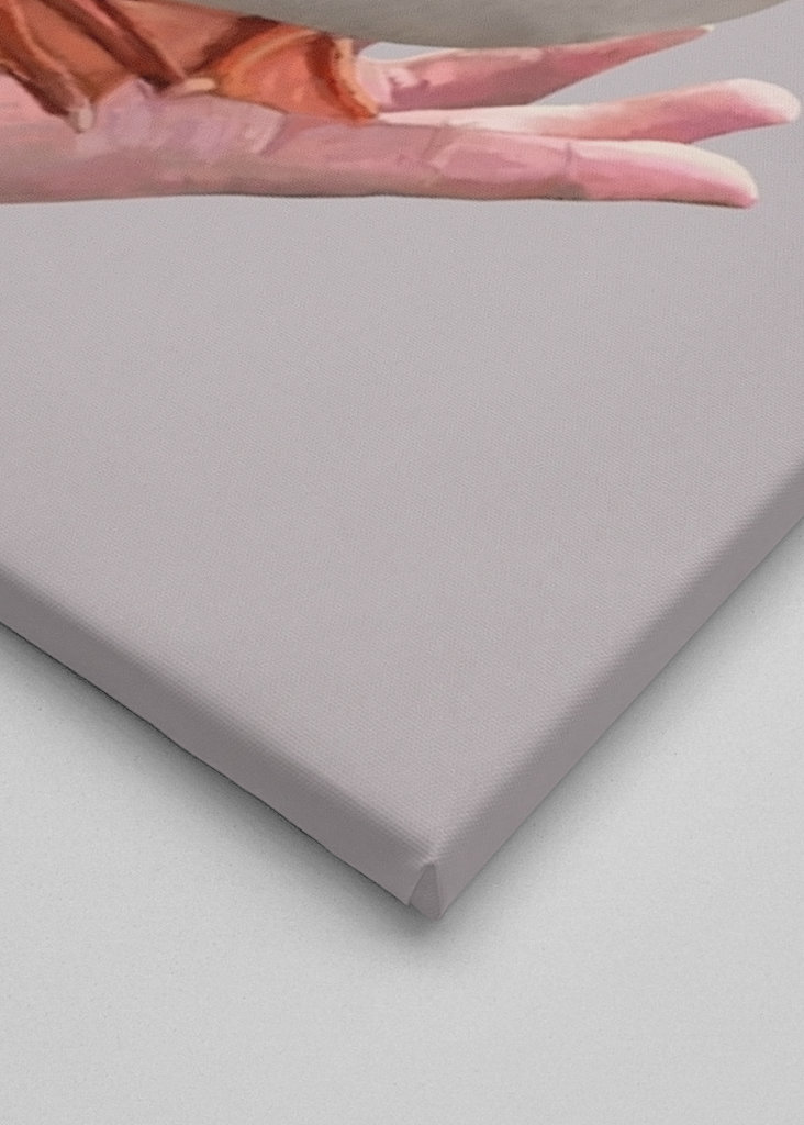 Meme del pato en la palma de la mano