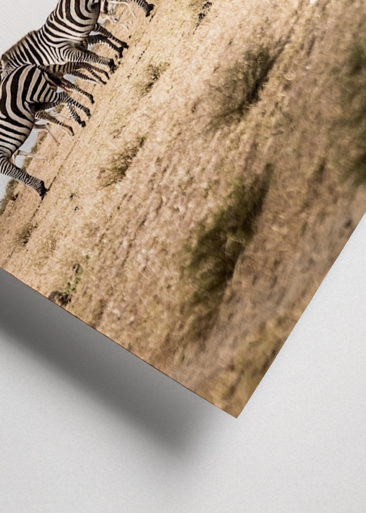 Jedes Zebra ist ein Unikat