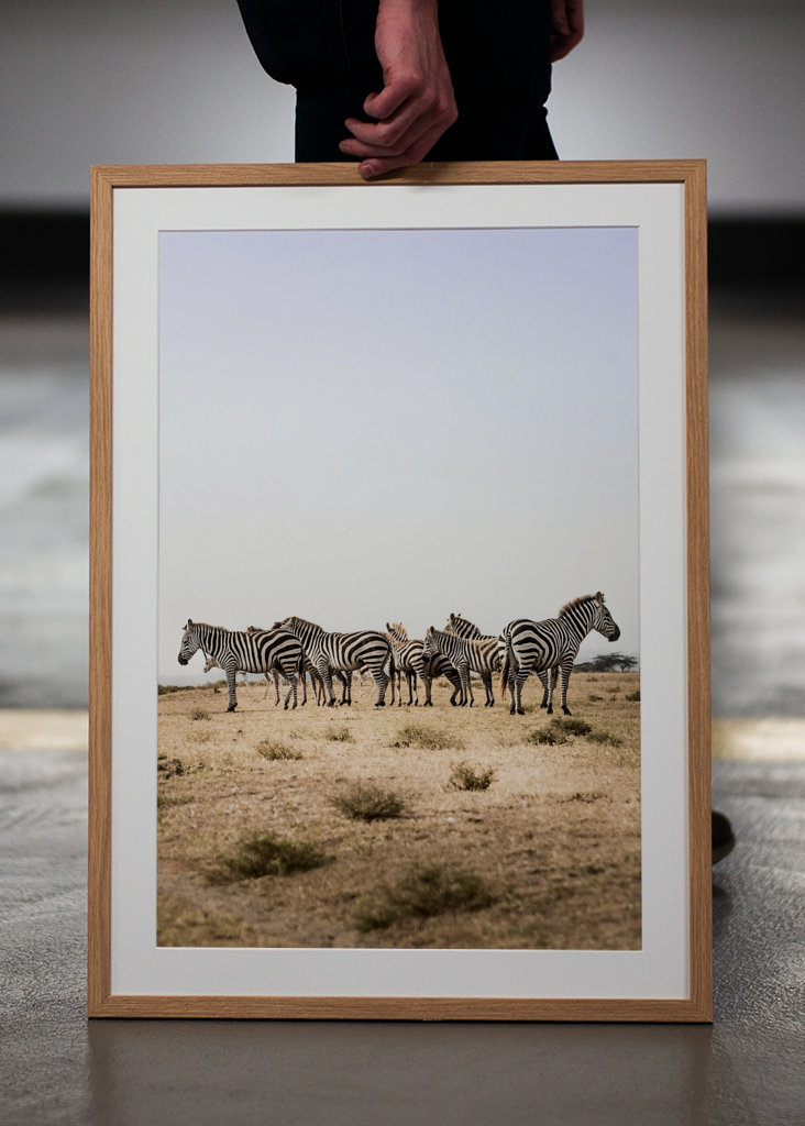 Jedes Zebra ist ein Unikat