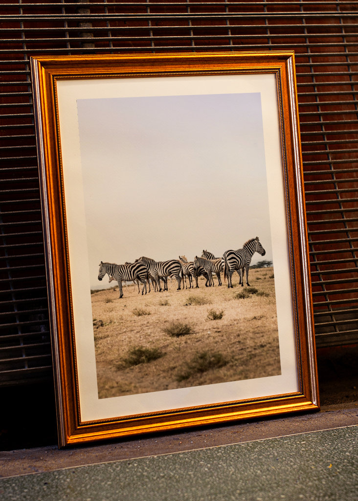 Jedes Zebra ist ein Unikat