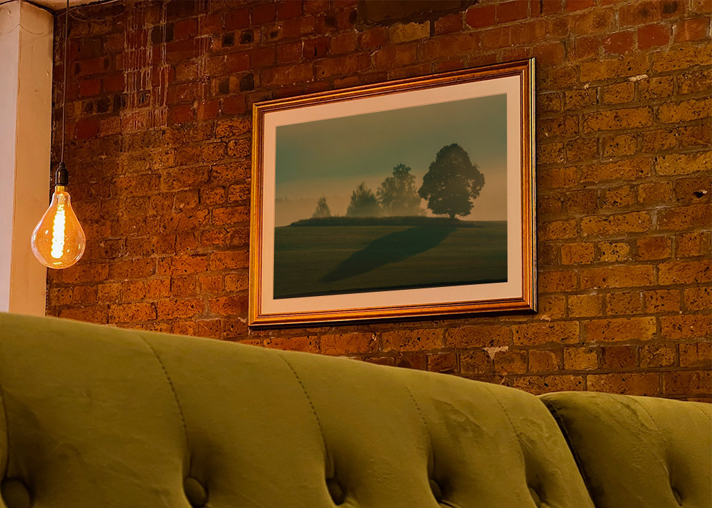 L’ombre d’un arbre