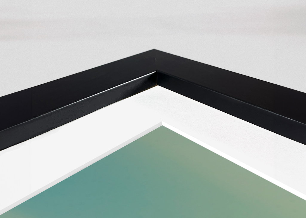 L’ombre d’un arbre