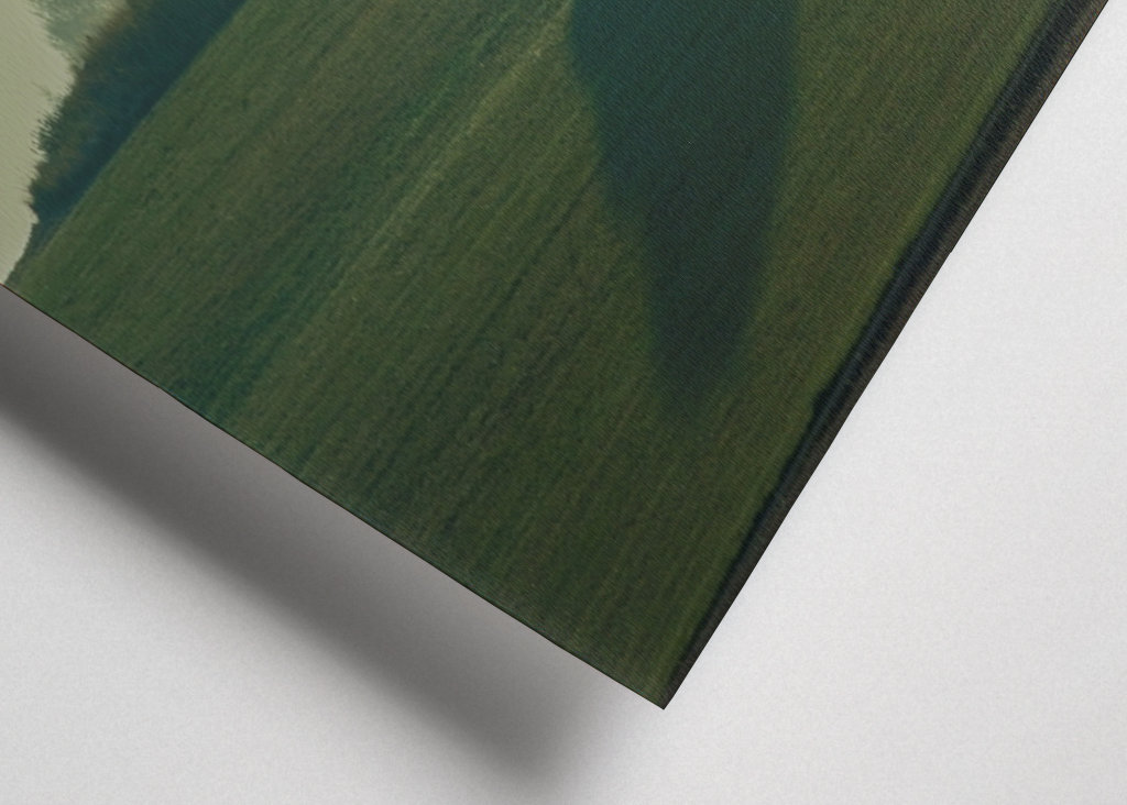 L’ombre d’un arbre