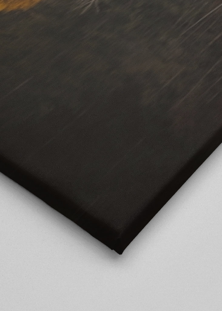 Drzewo jesienią z odbiciem