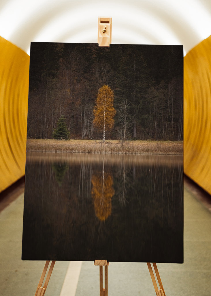 Drzewo jesienią z odbiciem