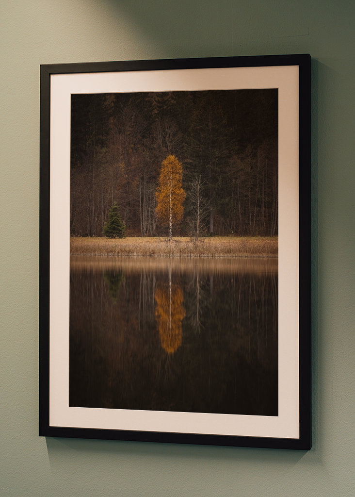 Drzewo jesienią z odbiciem