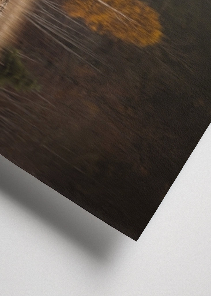 Drzewo jesienią z odbiciem