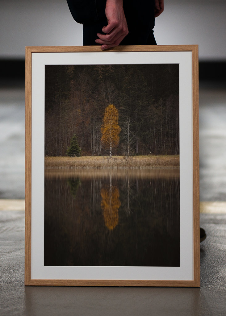 Drzewo jesienią z odbiciem