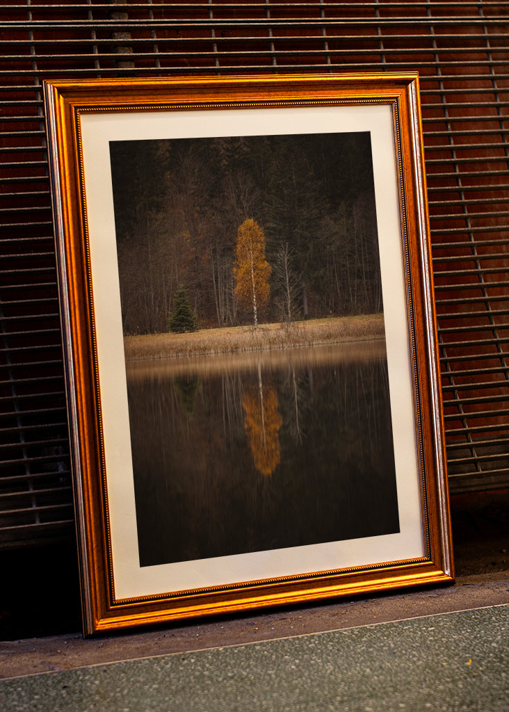 Drzewo jesienią z odbiciem
