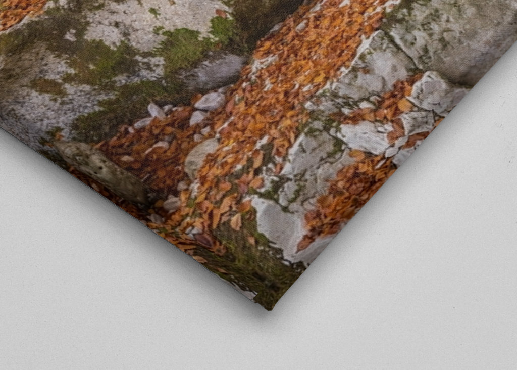 Šunik Water Grove, Slovenia