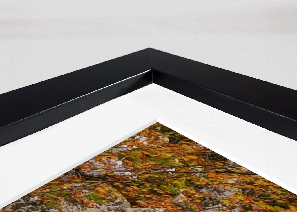 Šunik Water Grove, Slovenia