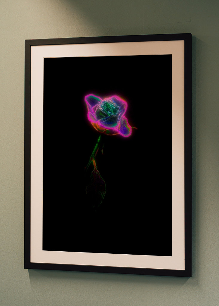 Neon rose