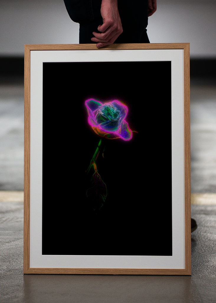 Neon rose