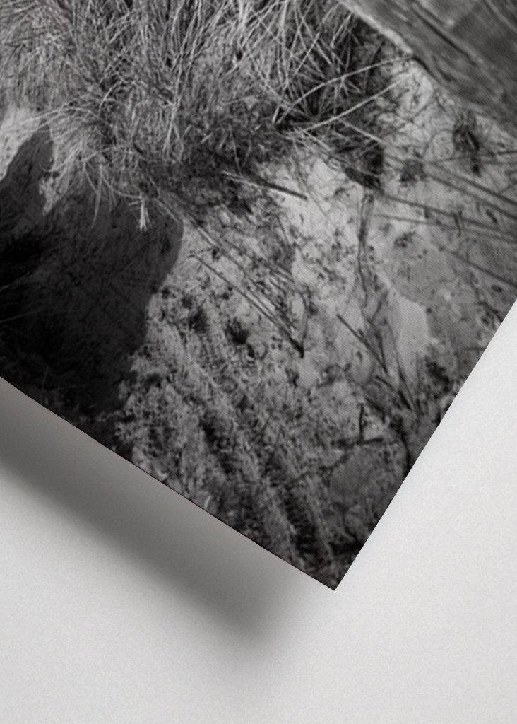 de weg naar het strand