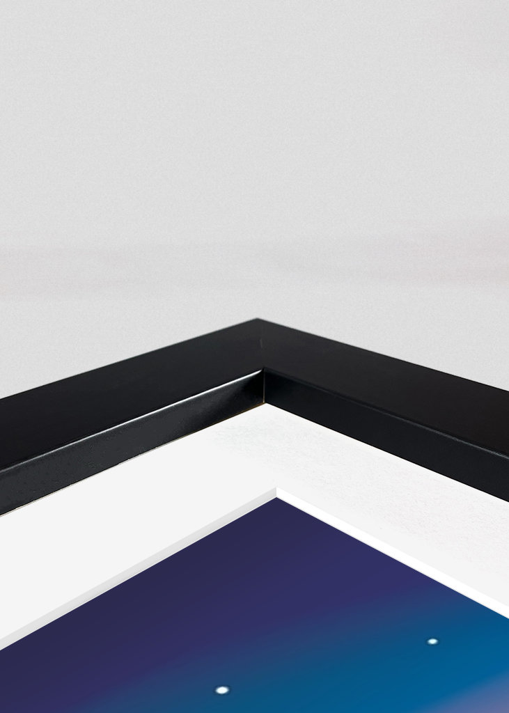 Aalborg under stjernerne