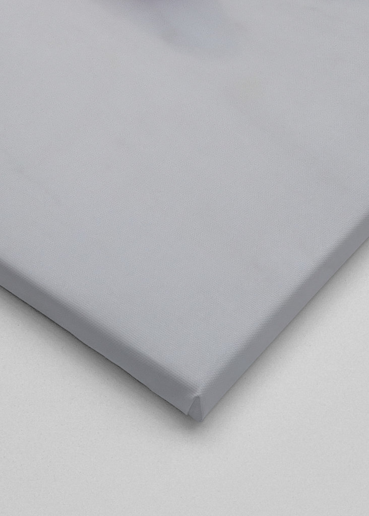 Obst- und Gemüseporträts