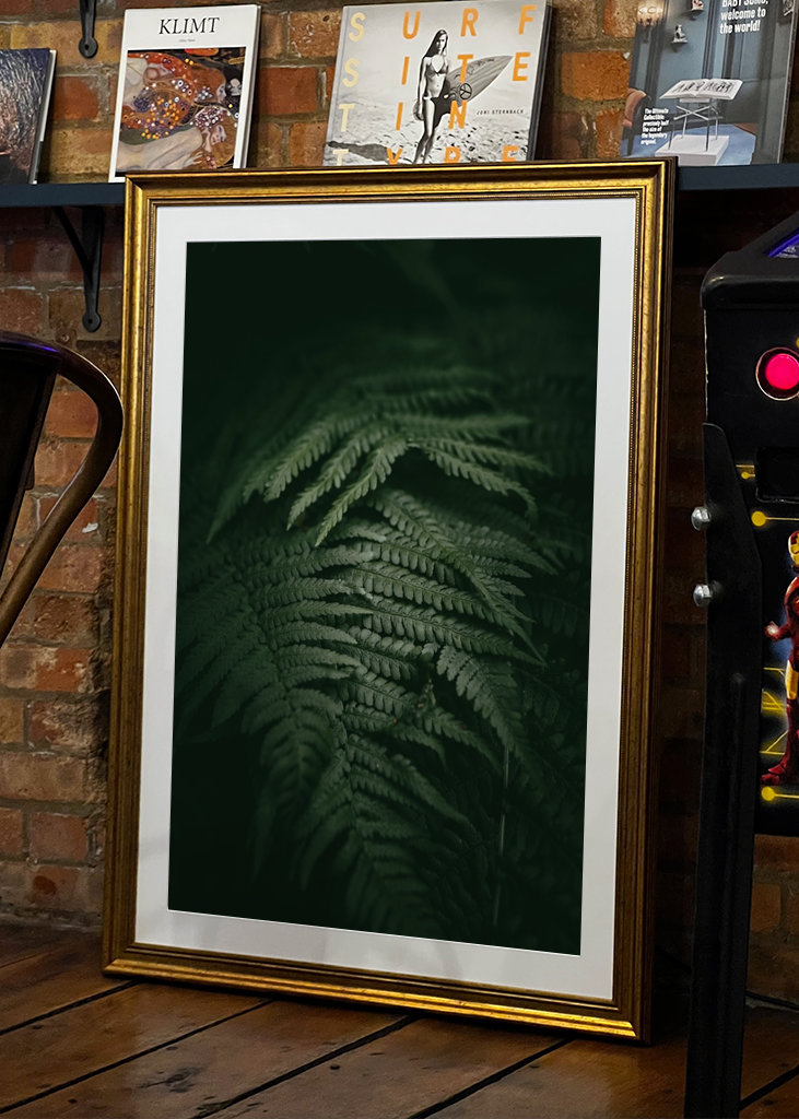 Kapradina v měsíčním světle