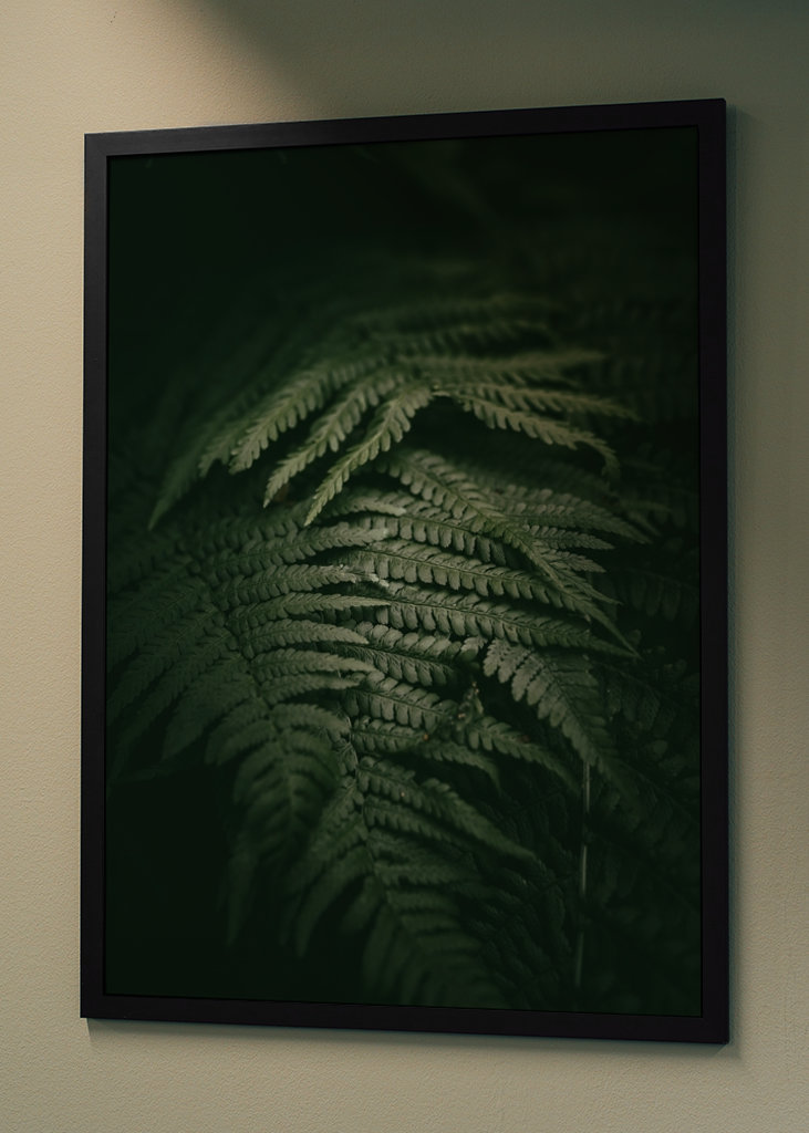 Kapradina v měsíčním světle