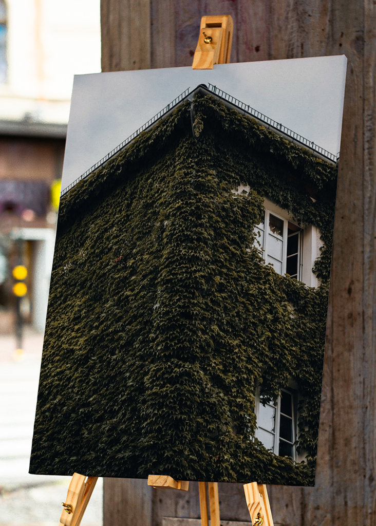 Casa cubierta de hiedra