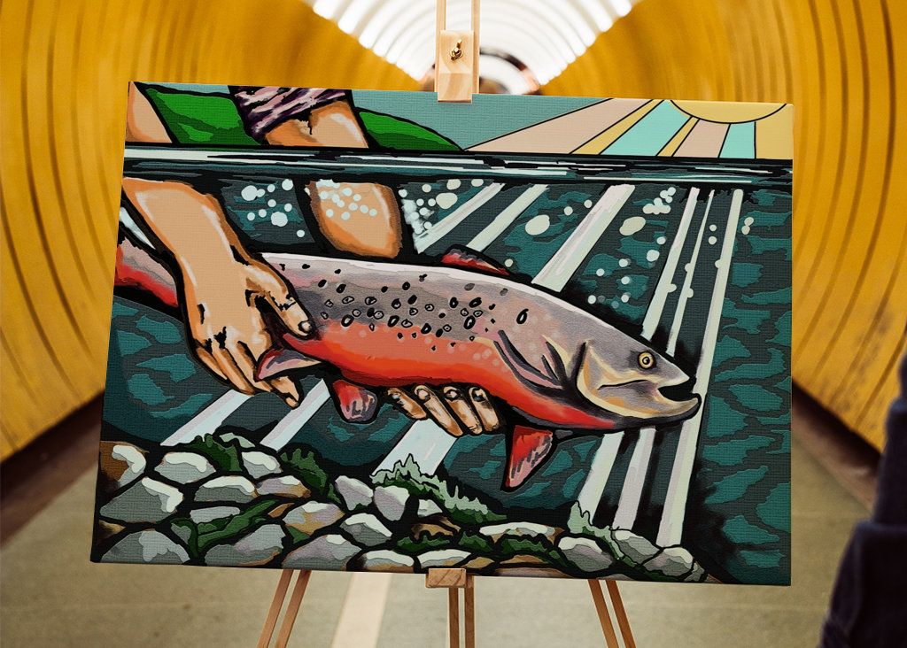 Fangst og genudsætning