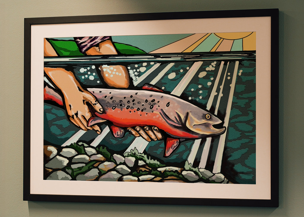 Fangst og genudsætning