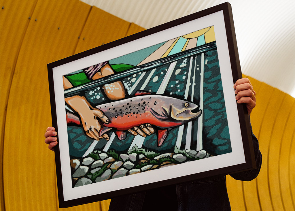 Fangst og genudsætning