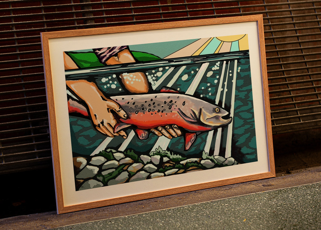 Fangst og genudsætning