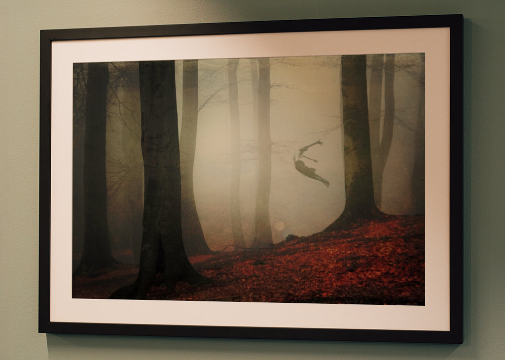 Freigeist - Jesenná lesná hmla