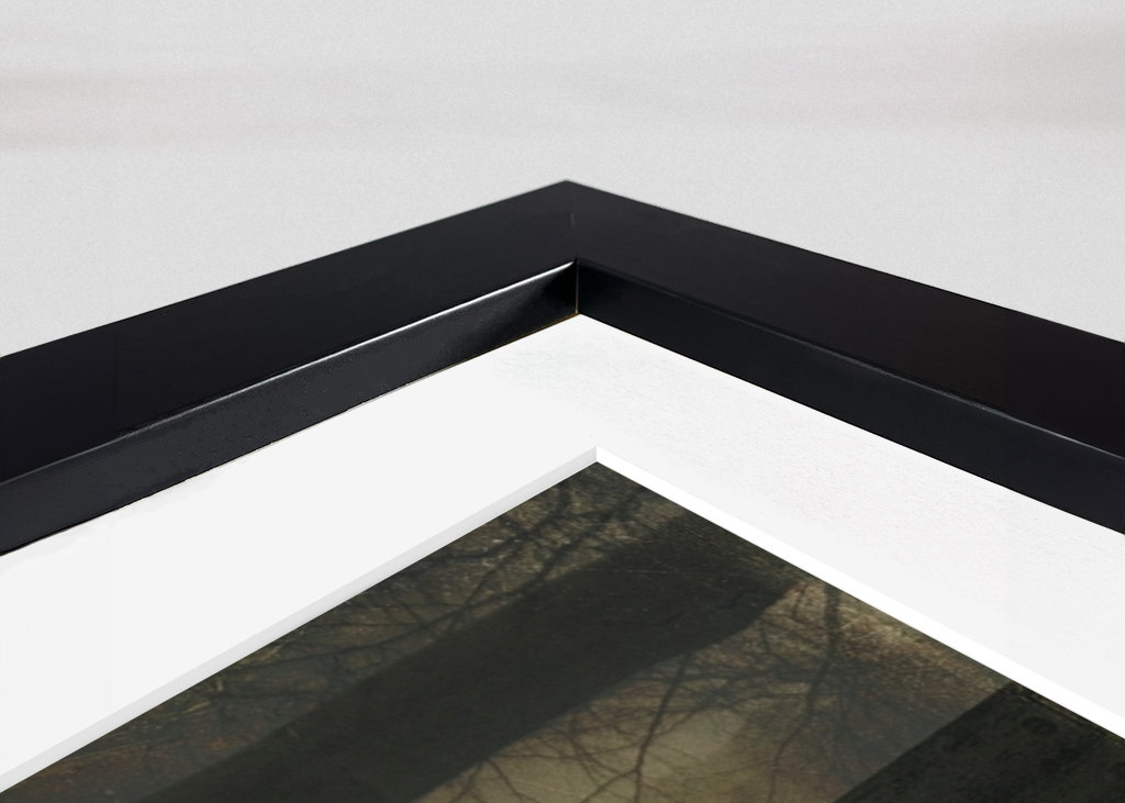 Freigeist - Jesenná lesná hmla