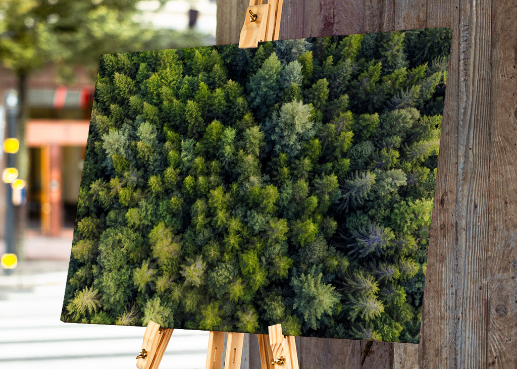 Vue aérienne de la forêt en Forêt-Noire 