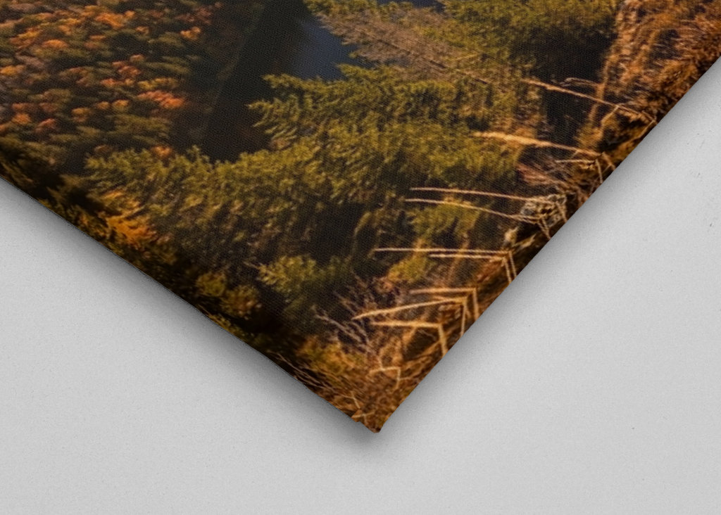 Feldberg in the Black Forest