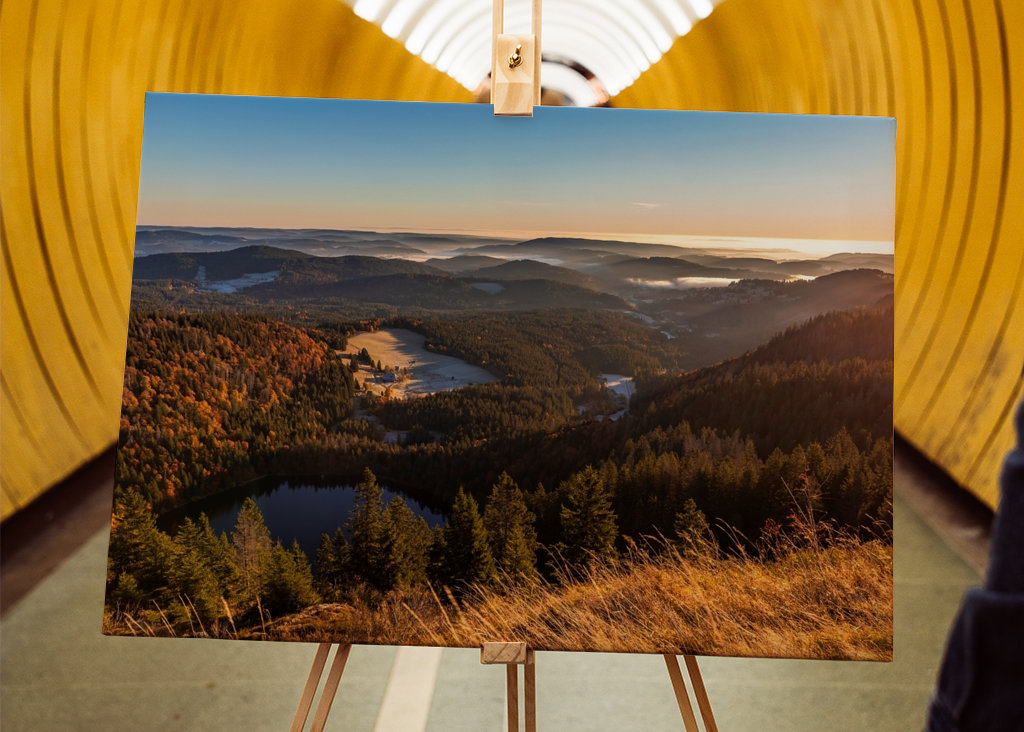 Feldberg in the Black Forest