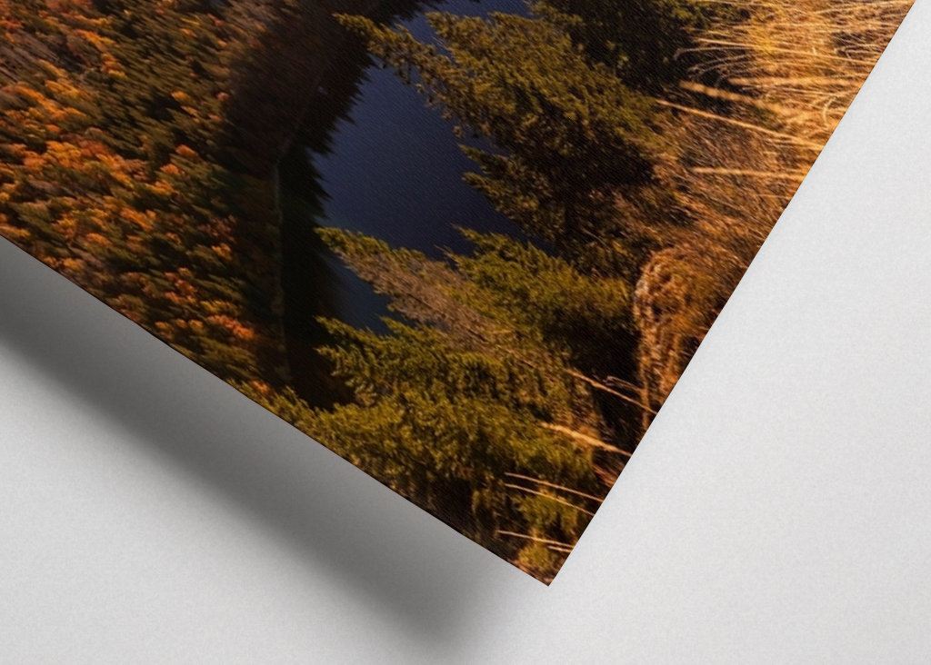 Feldberg in the Black Forest