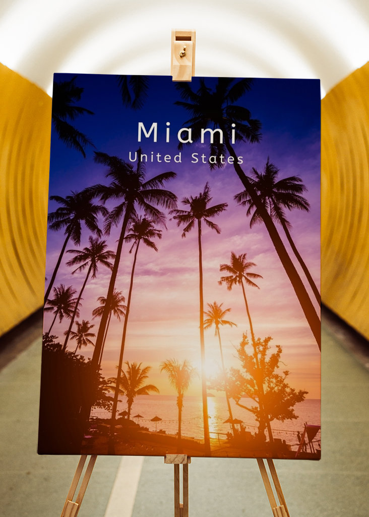 Miami Verenigde Staten Palmen