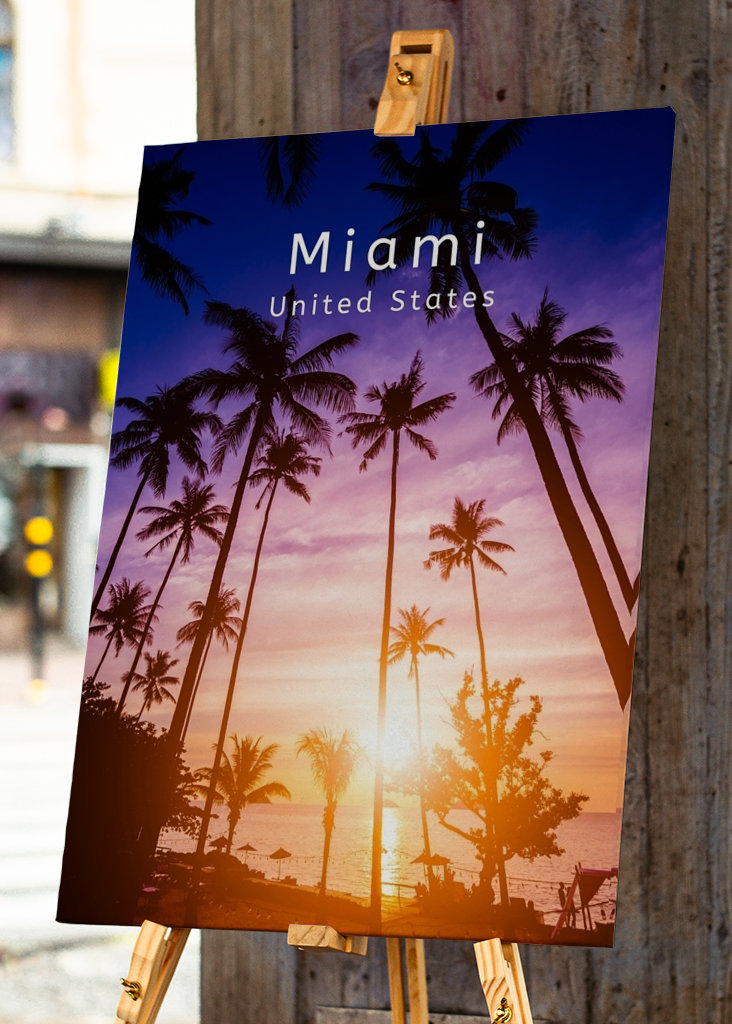 Miami Verenigde Staten Palmen