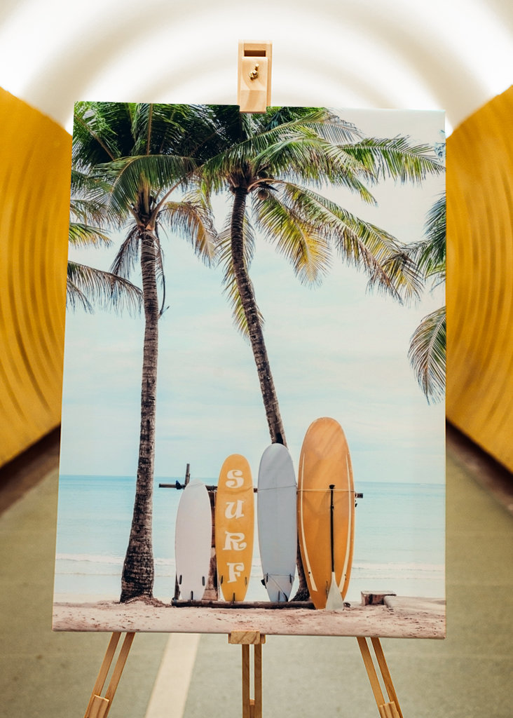 Choose Your Surfboard