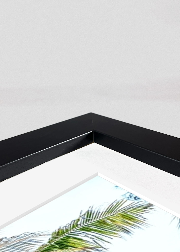 Choose Your Surfboard