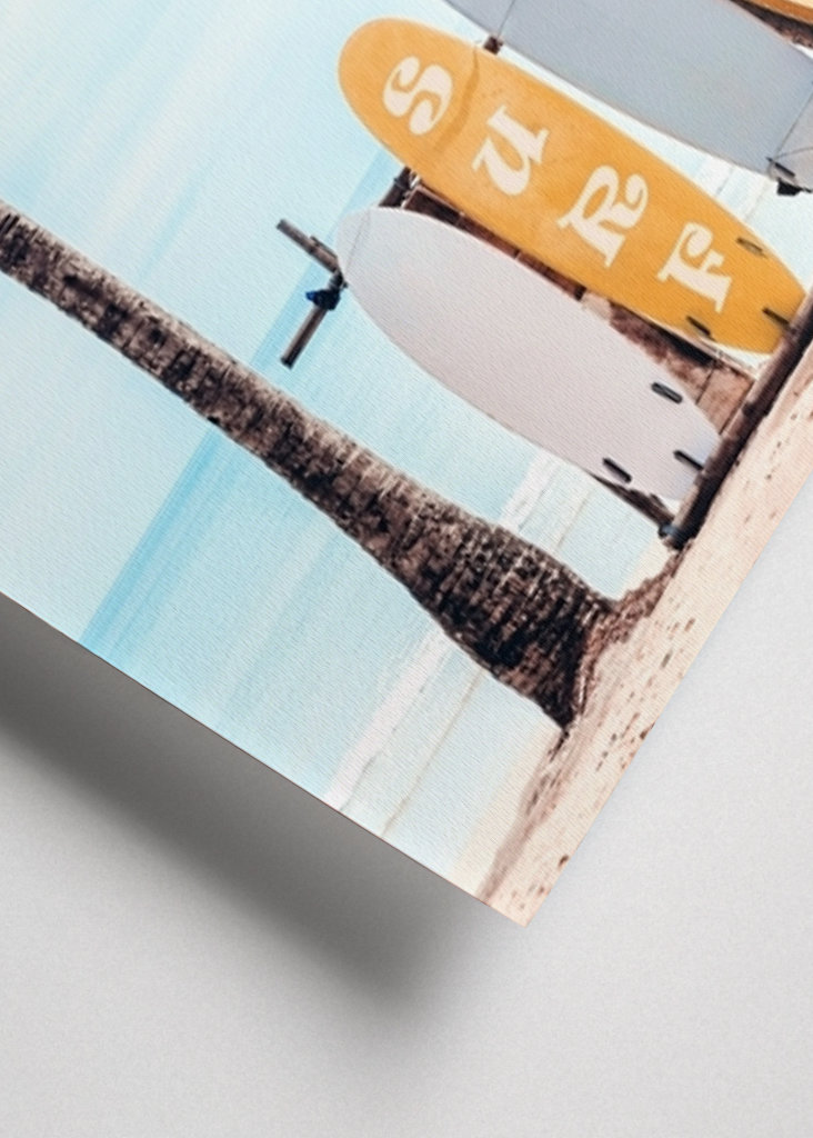 Choose Your Surfboard