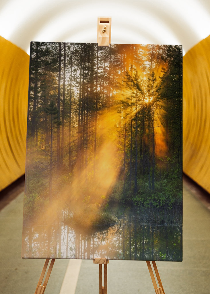 Éjféli nap az erdőben