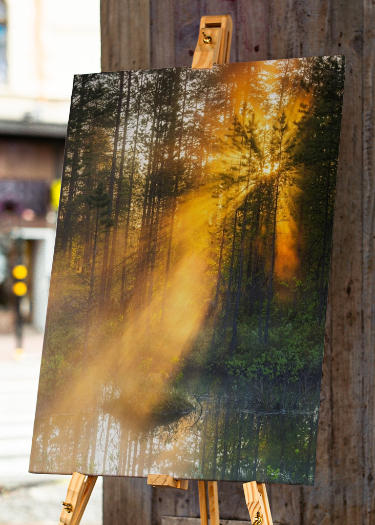 Éjféli nap az erdőben