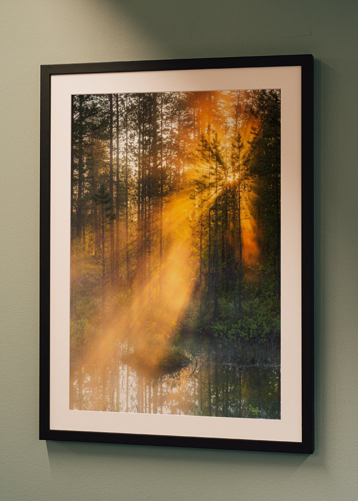 Éjféli nap az erdőben