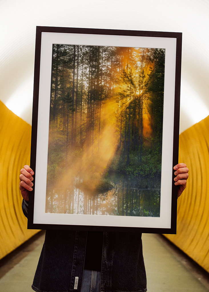 Éjféli nap az erdőben