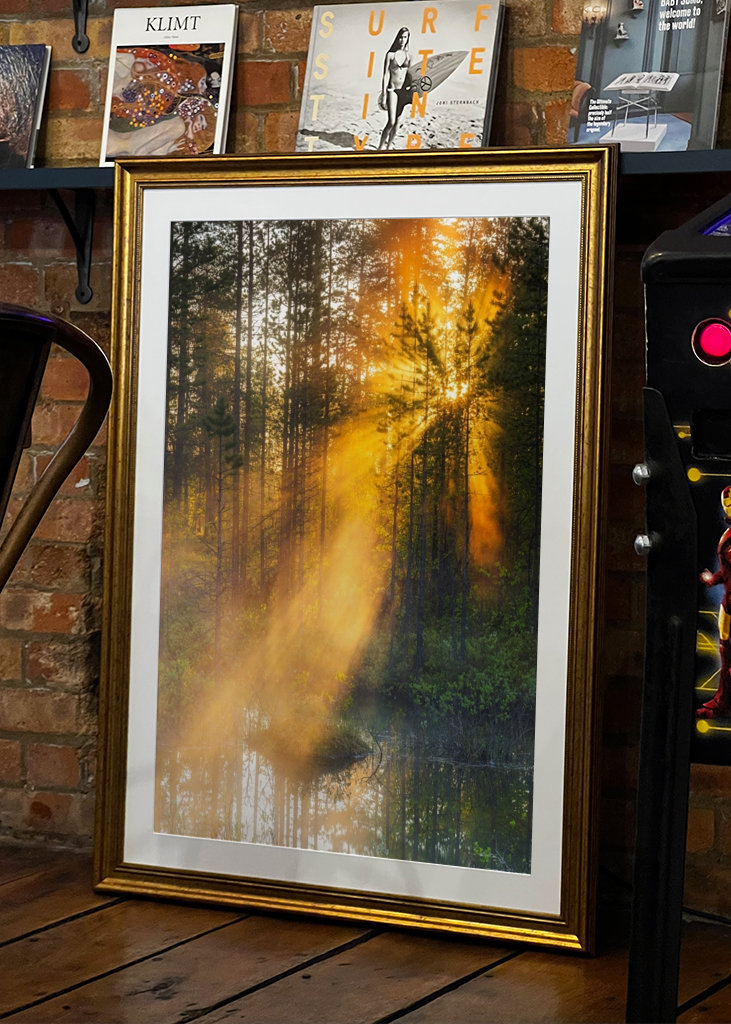 Éjféli nap az erdőben