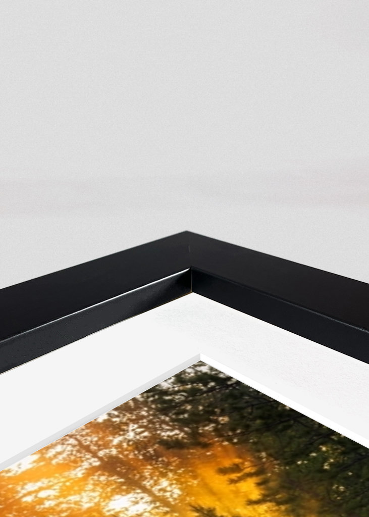 Éjféli nap az erdőben