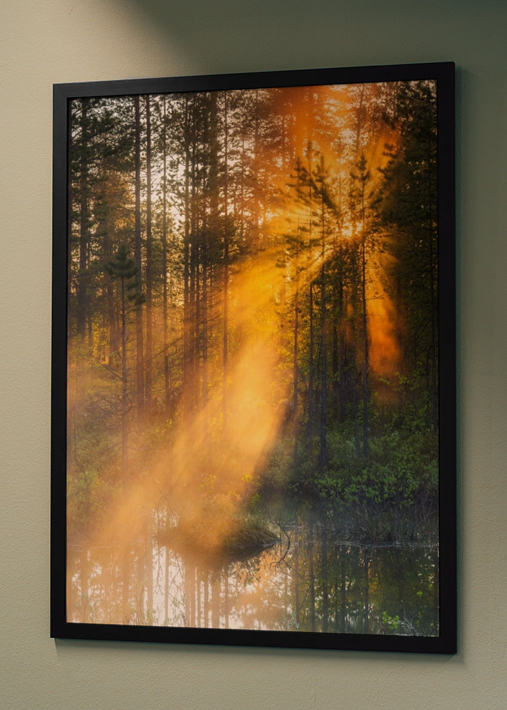 Éjféli nap az erdőben