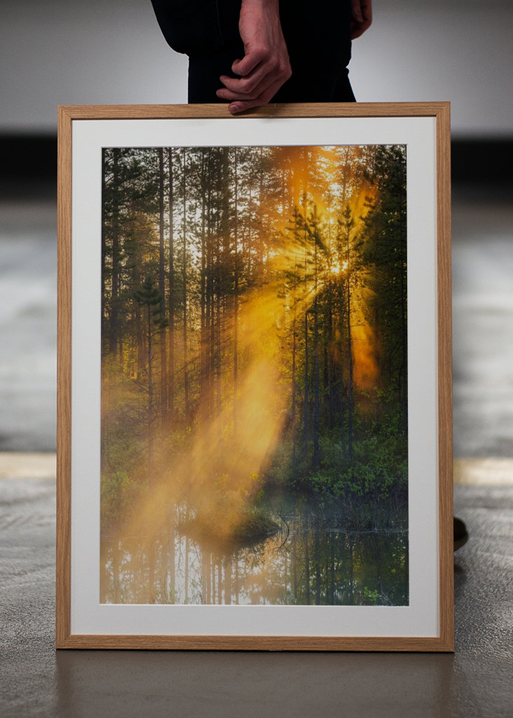 Éjféli nap az erdőben