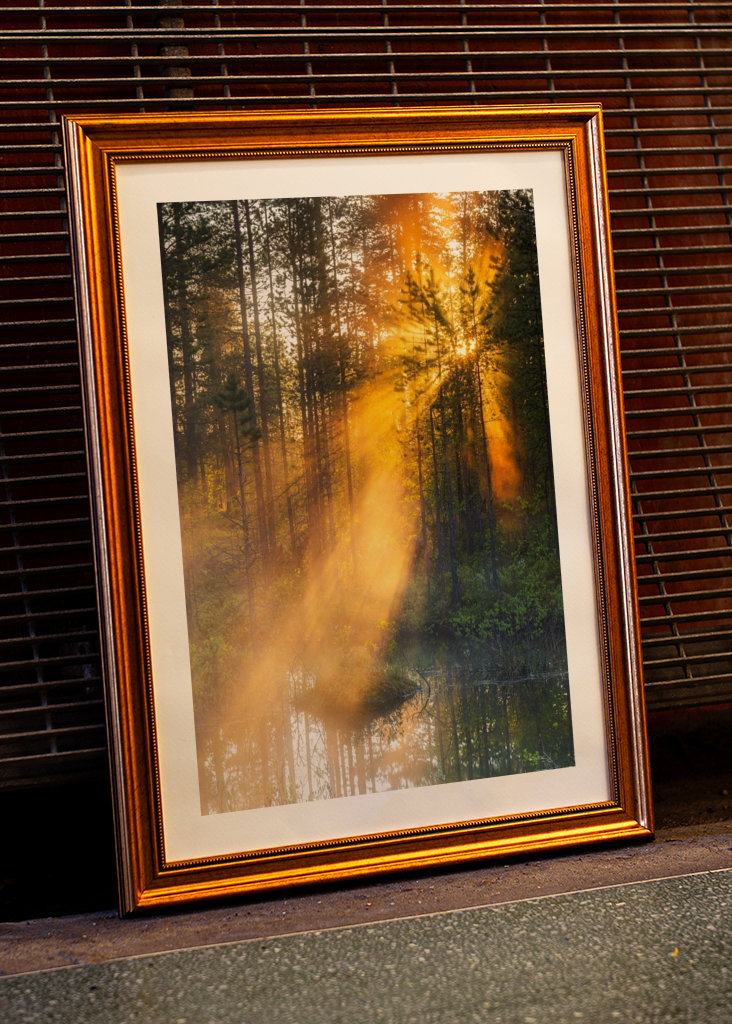 Éjféli nap az erdőben