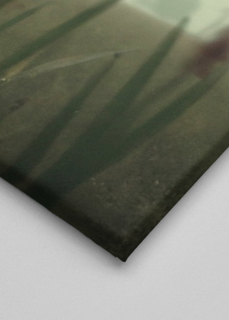 Weltraumspaziergang auf der Erde