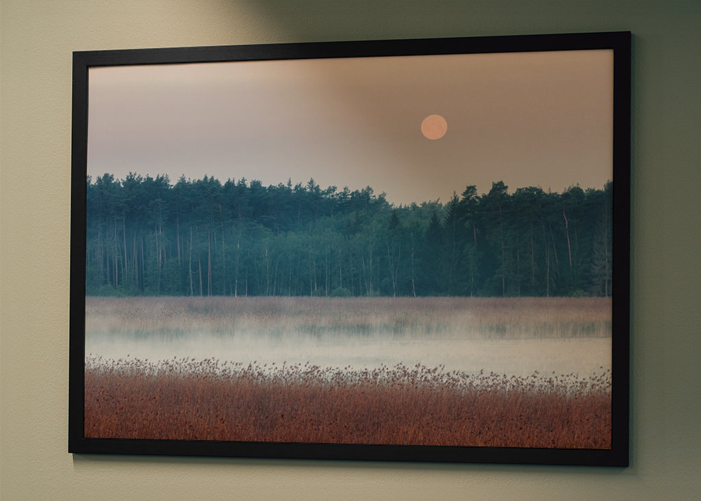 Mystical spring morning