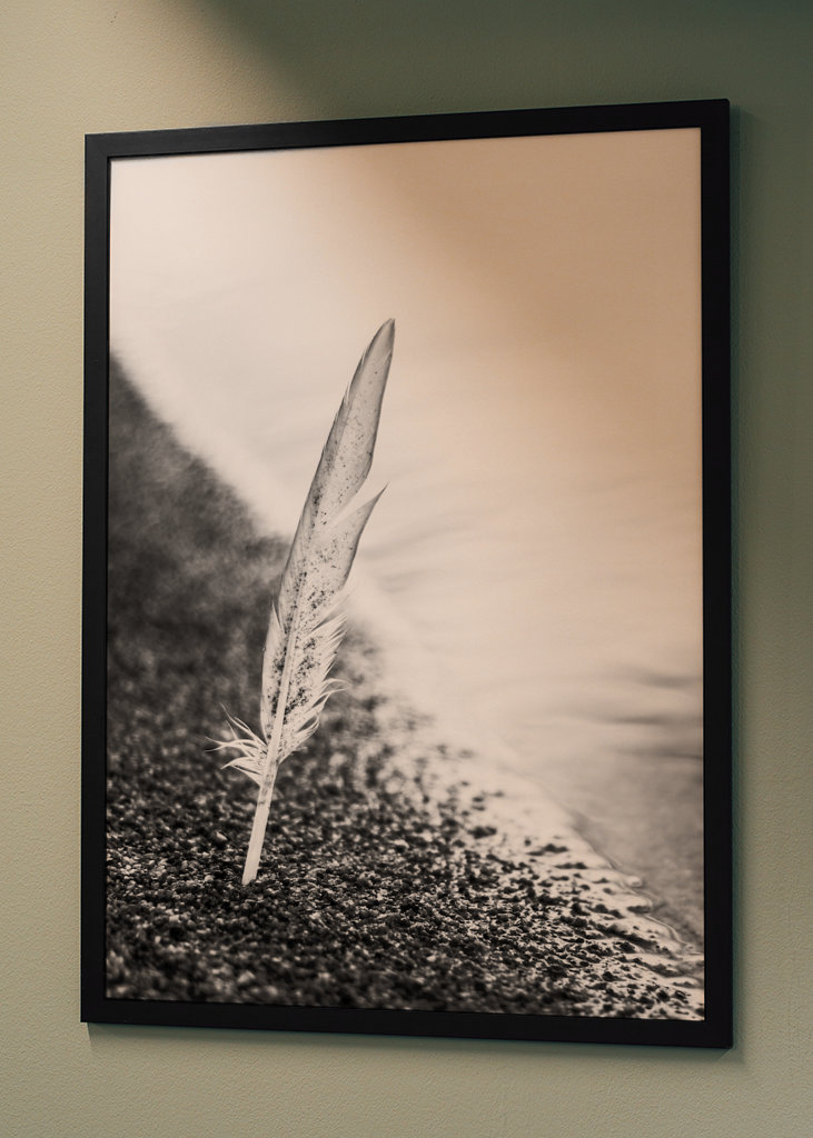 Ressort en contre-éclairage